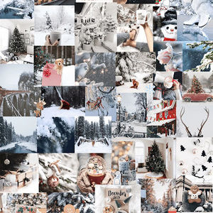 Meet your Posher, Valora_lajqi